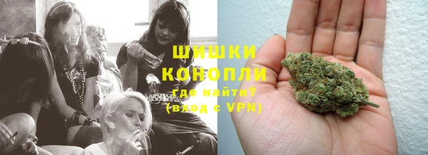 не бодяженный Горно-Алтайск