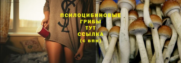 гашиш Горнозаводск