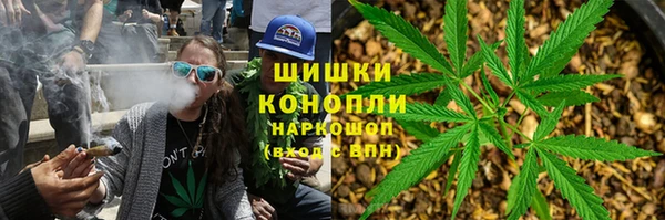 бошки Горняк