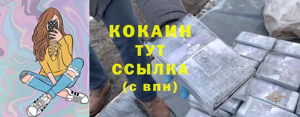 не бодяженный Горно-Алтайск