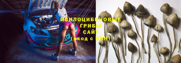 бошки Горняк