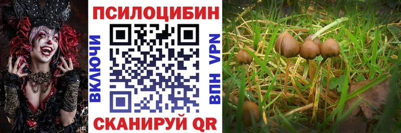 Псилоцибиновые грибы ЛСД  Дигора 
